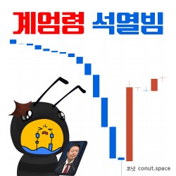 계엄령-석열빔-코넛