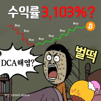 수익률-3,103%-DCA가-뭐길래-코넛